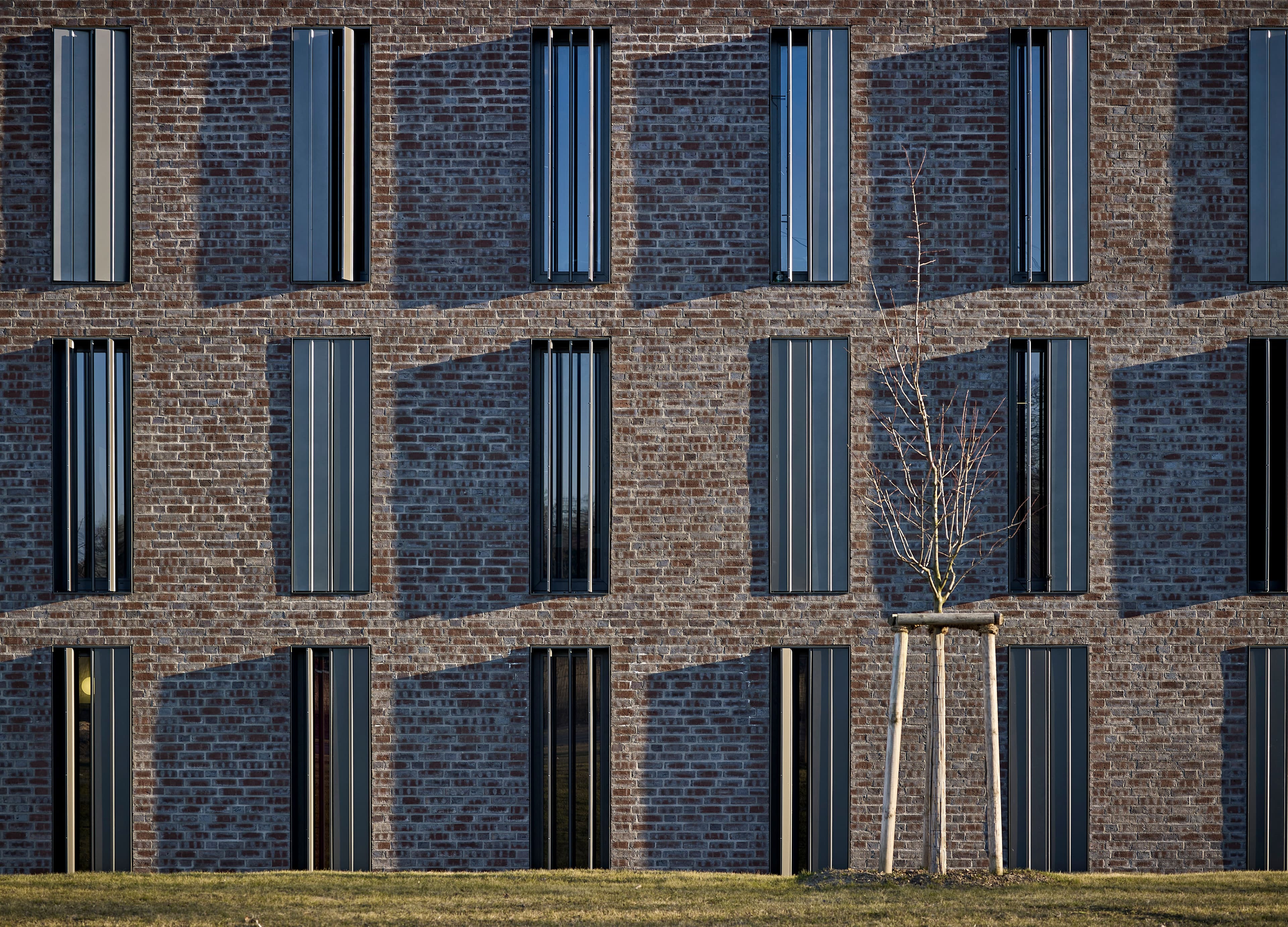 JVA Düppel Fassade frontal mit Baum
