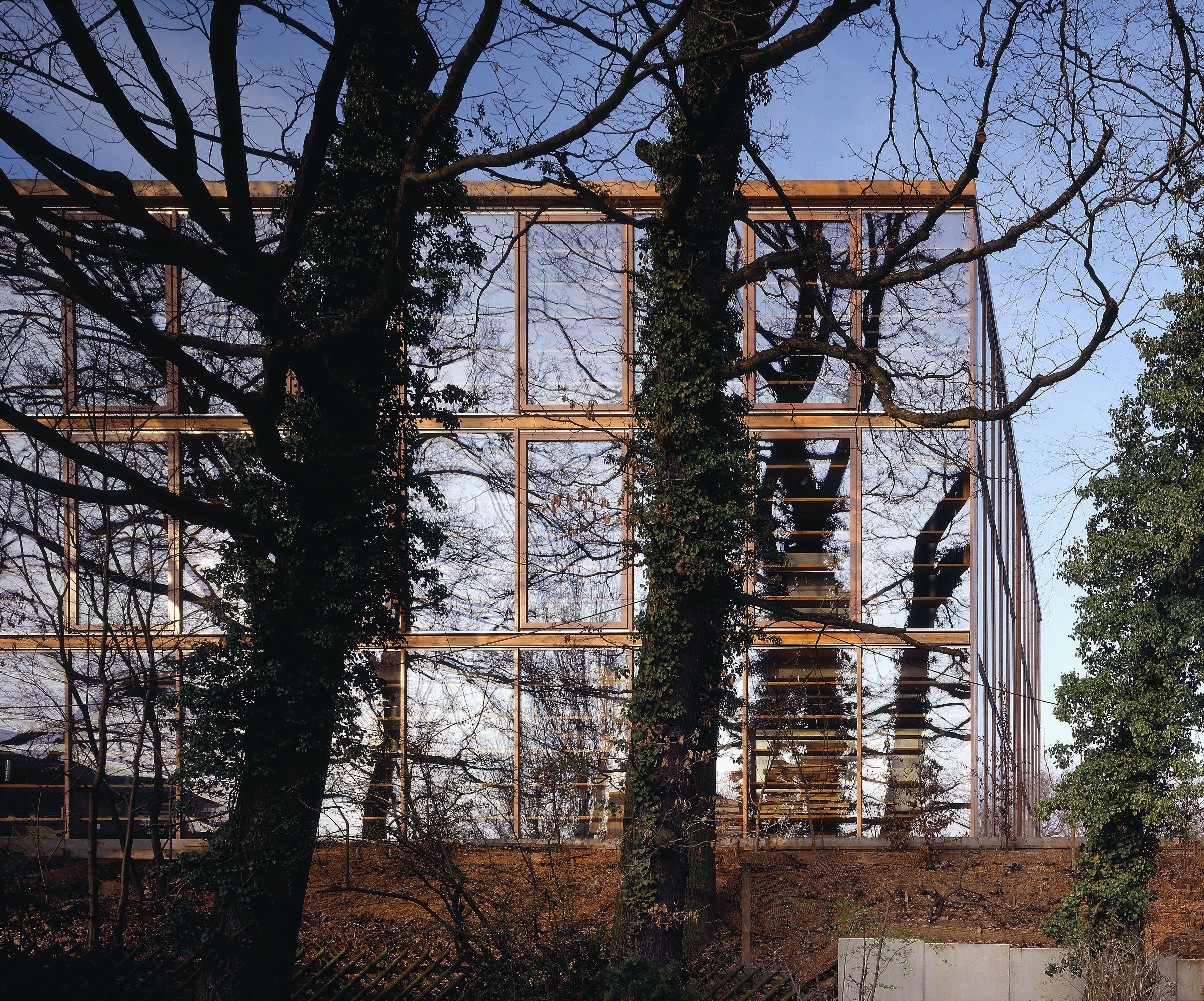Fachhochschule für Gestaltung Wiesbaden Perspektive durch Bäume